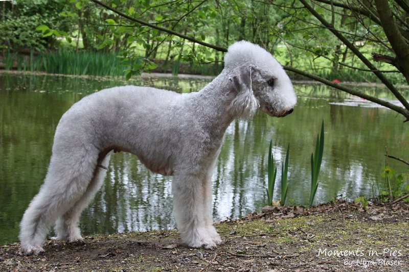 2010-05-01 Svet und Aveline (16).JPG